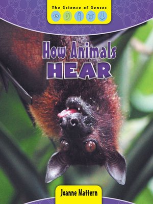 cover image of How Animals Hear